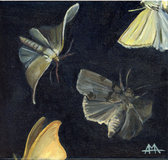 Night Sky Ballroom - Amber Andersen, $195