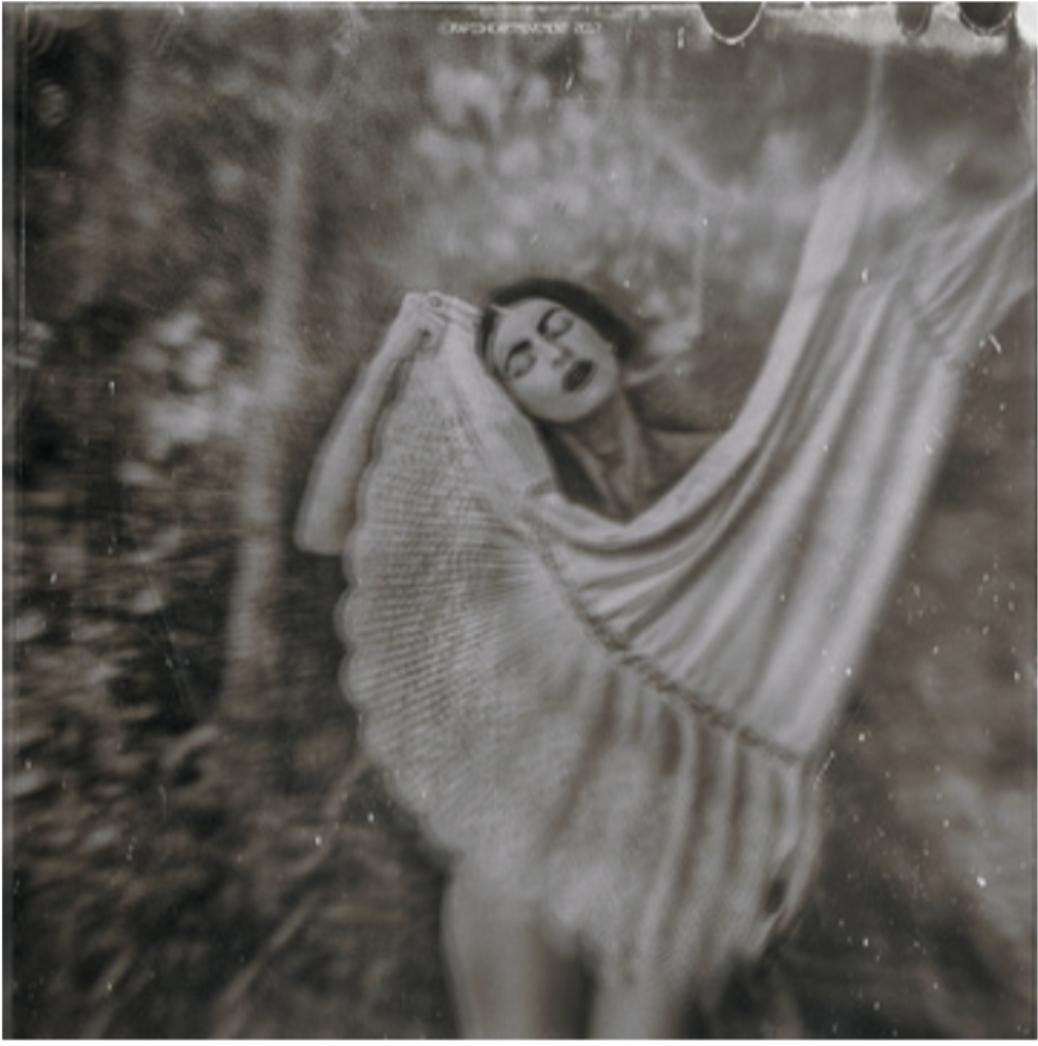 "The Velvet Of My Dress" - $575