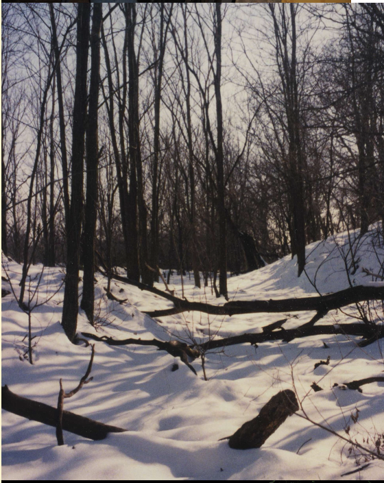 Peace- Joi Bachiochi Thompson, 1995, 14.5x17.5, $200