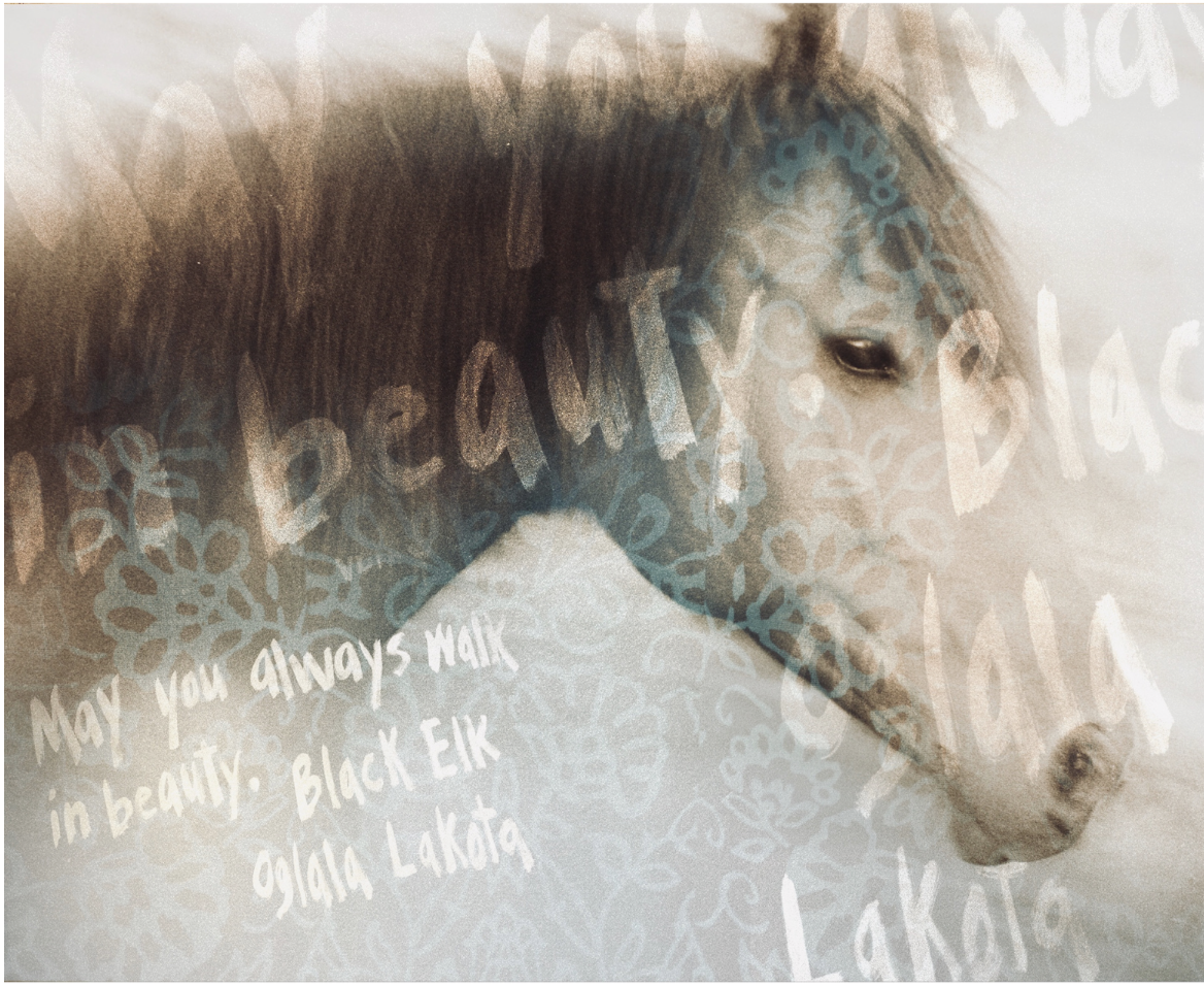 The Spotted Pony