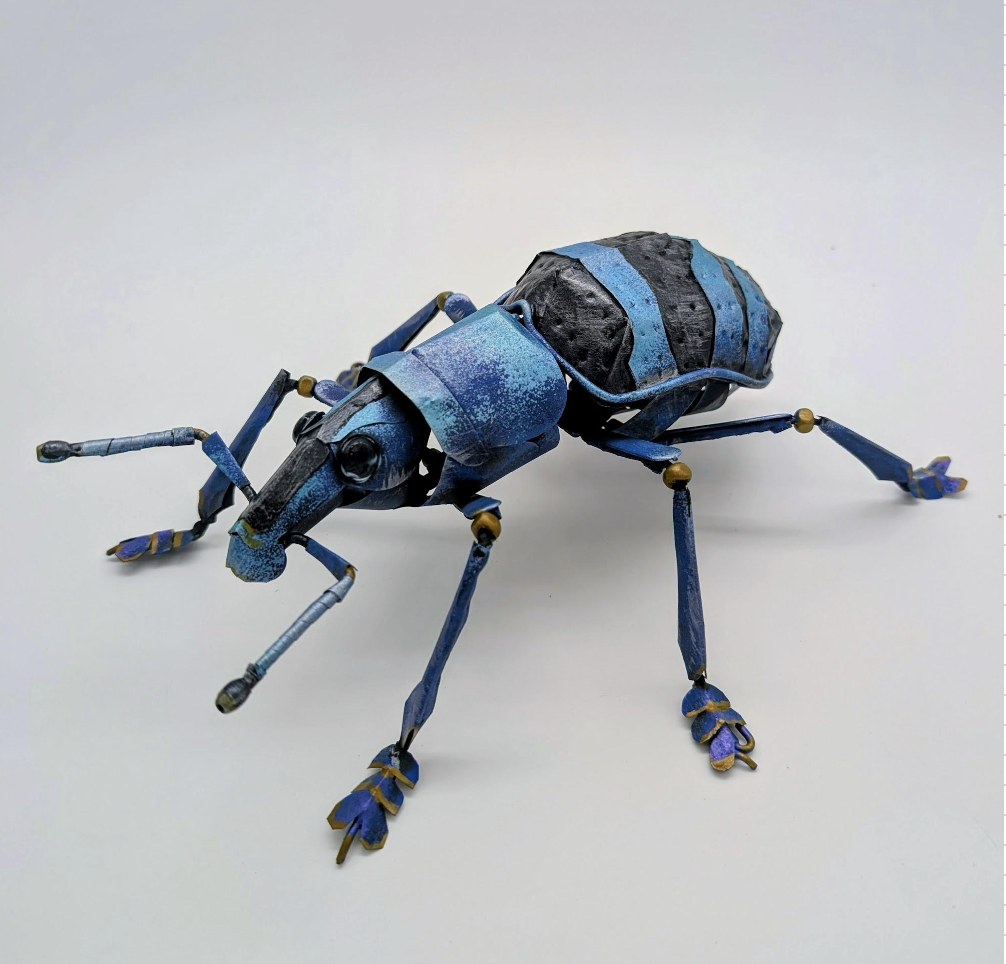 Dr. Weevil - Joshua Cook, $450