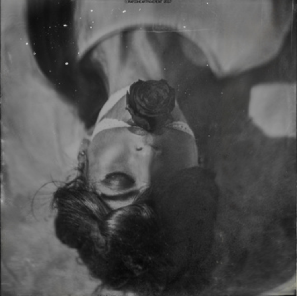 "This is How One Dies Upon a Flower" - $645