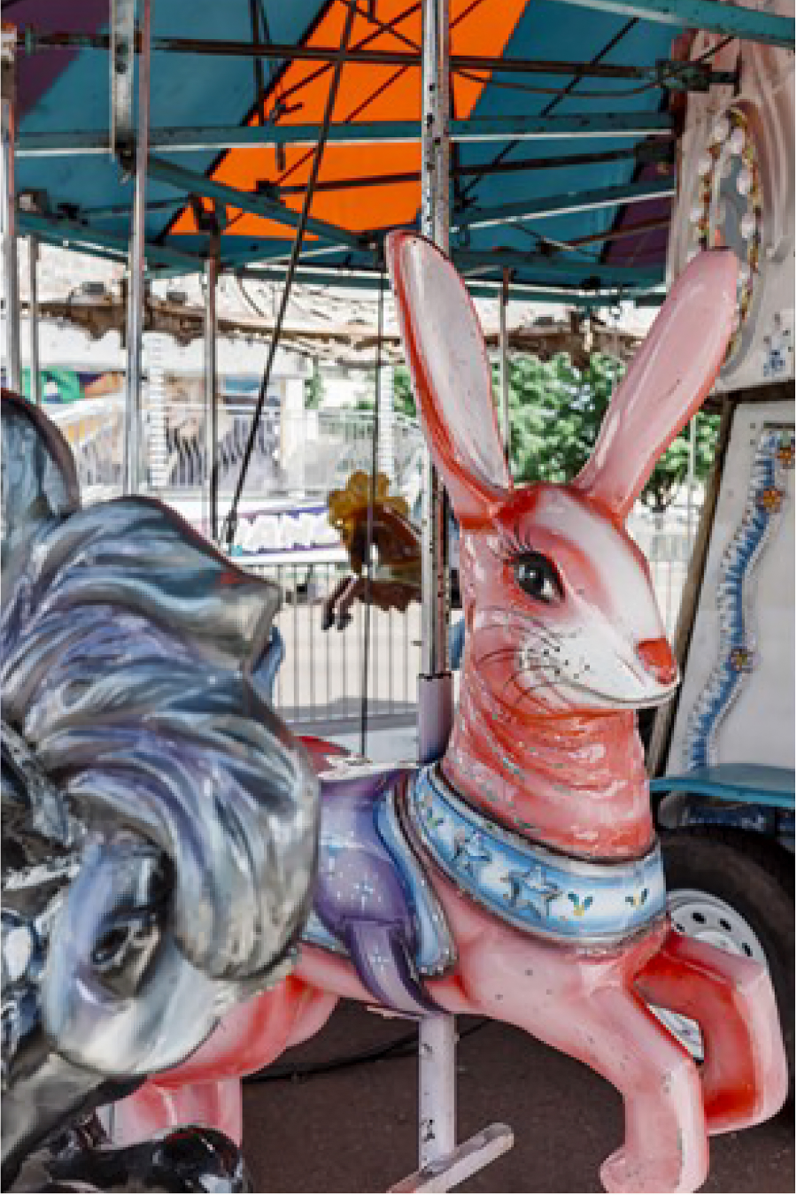 carnival found no. 5 - SJ Barrymore, $46