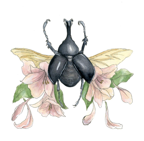 Rhinoceros Beetle with Peachy Petals - Amber Andersen, $195