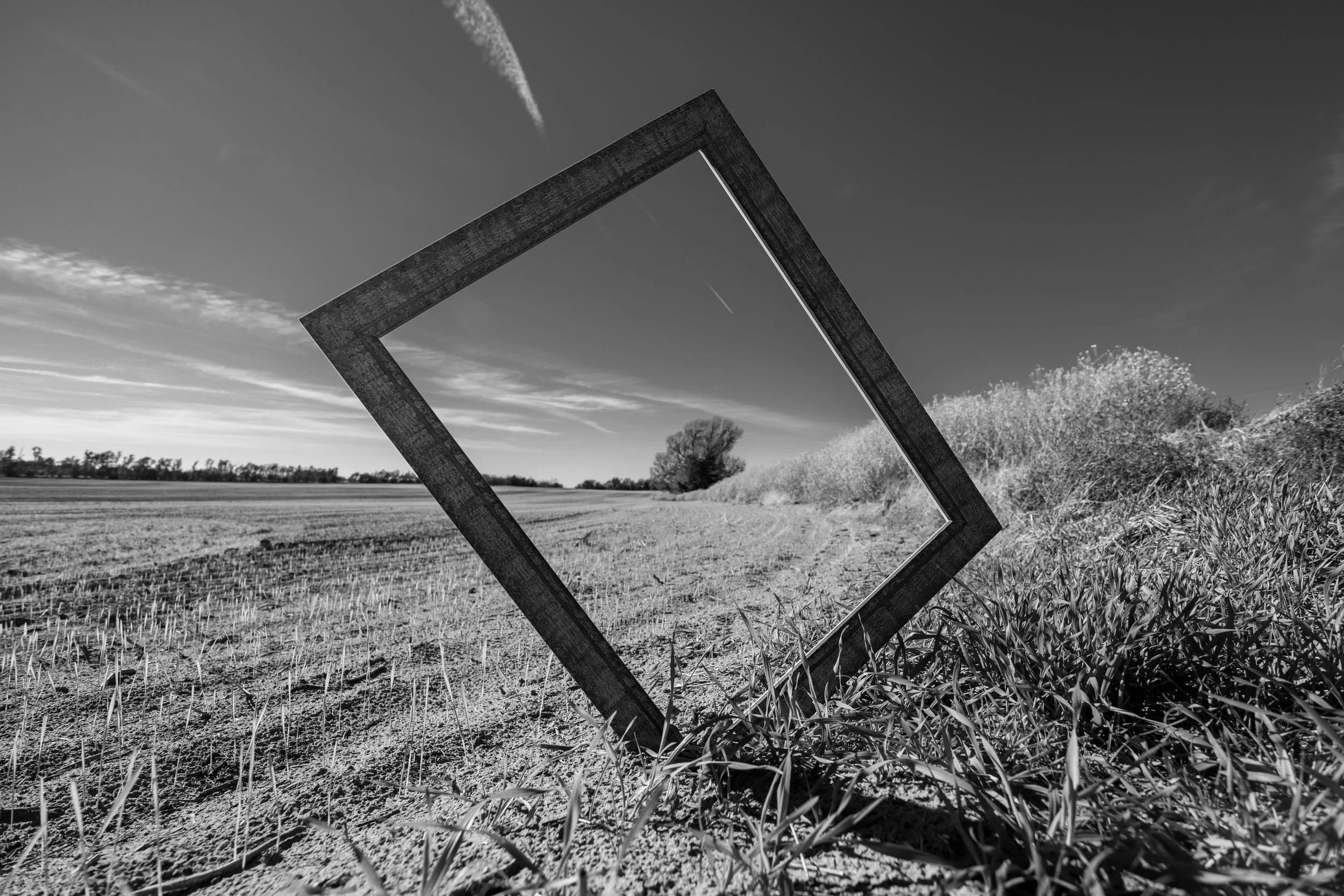 Picture This - Garret Dressler, 16x20, $175