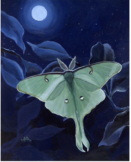 Luna, Eclipsed - Amber Andersen, $650