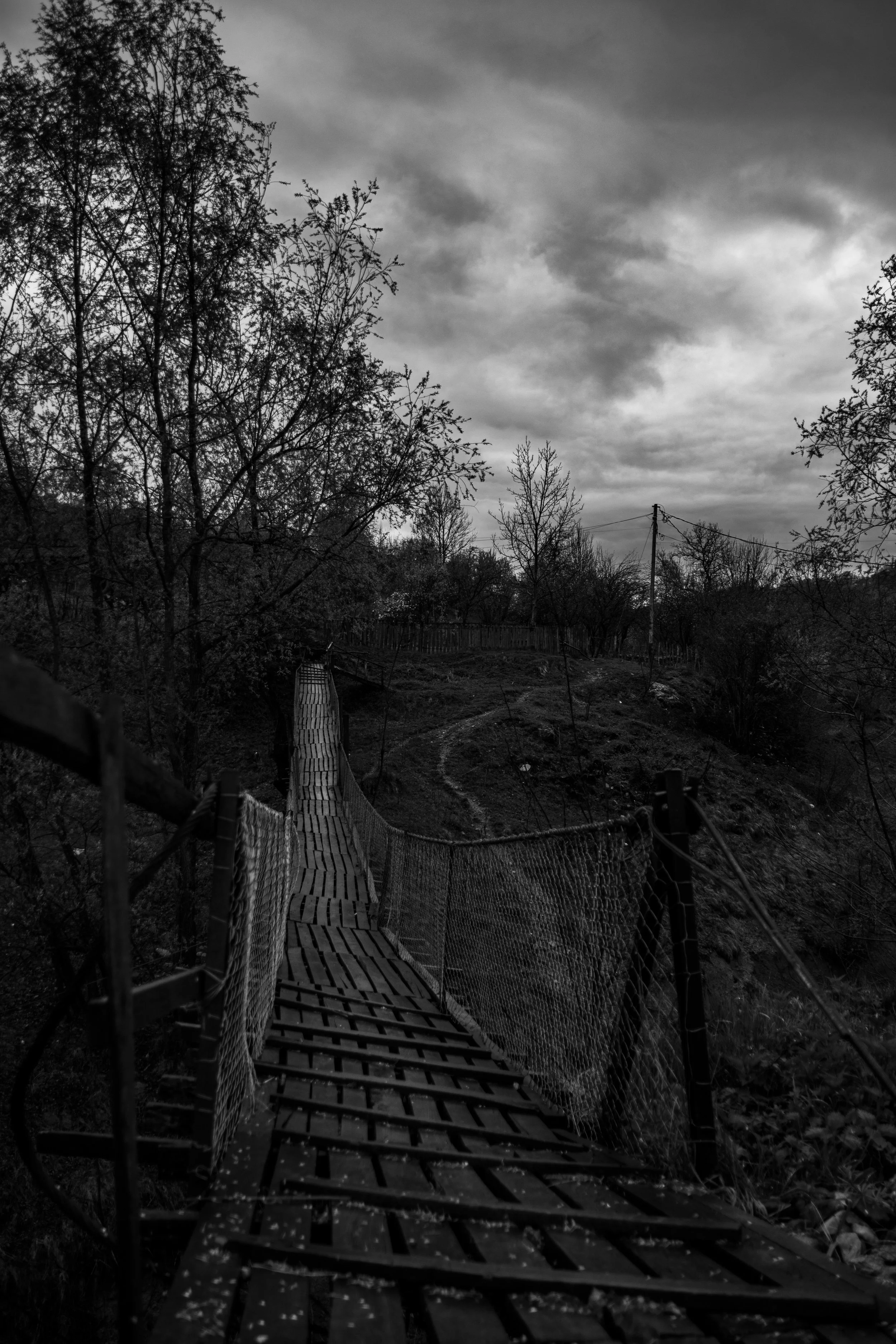_MG_9544.jpg