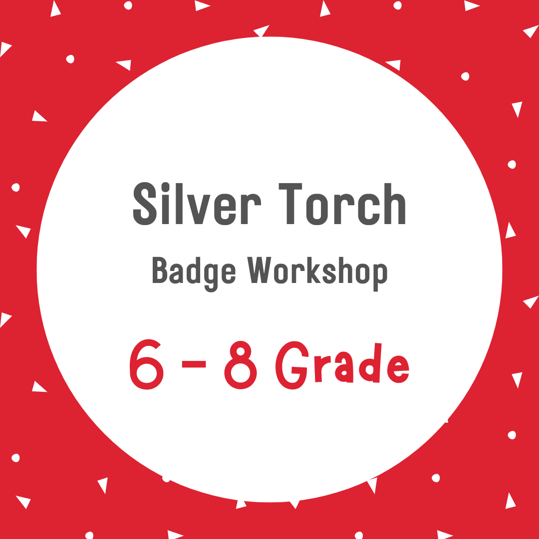 6 - 8 Silver Torch - March