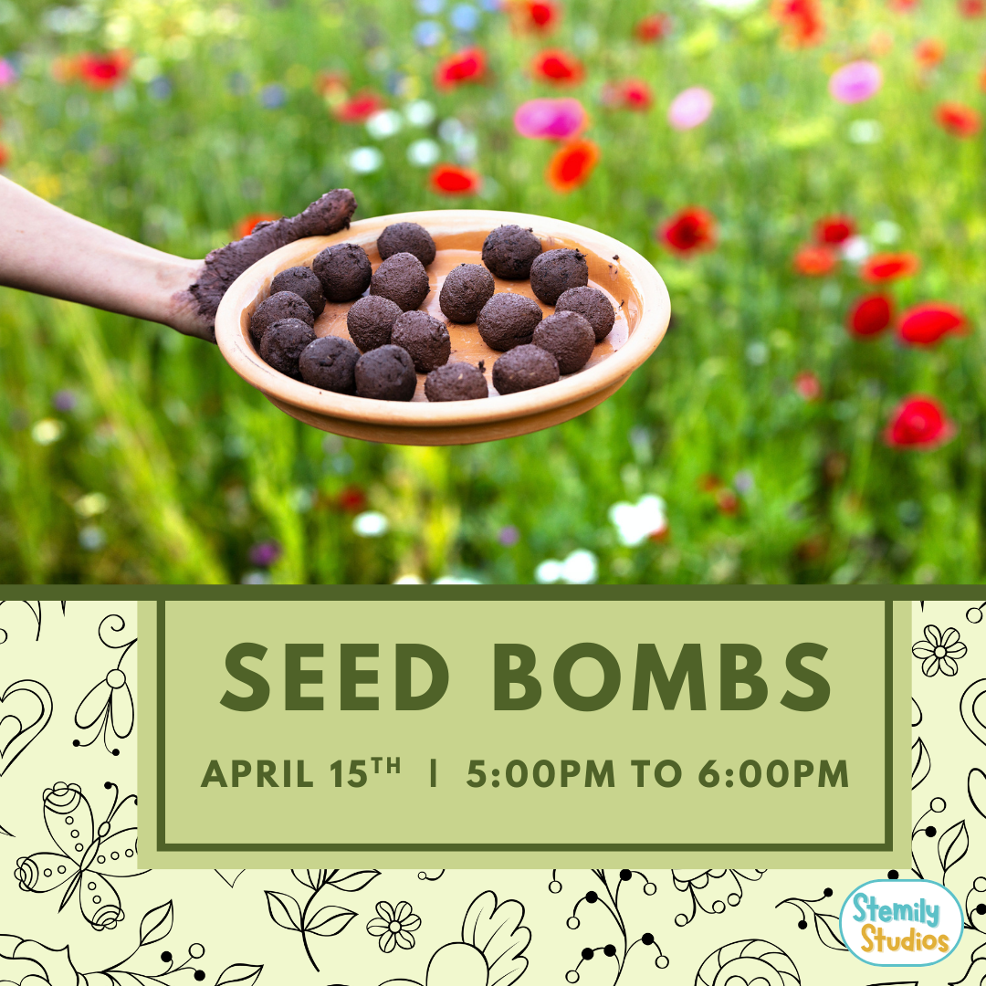 Earth Day Seed Bombs