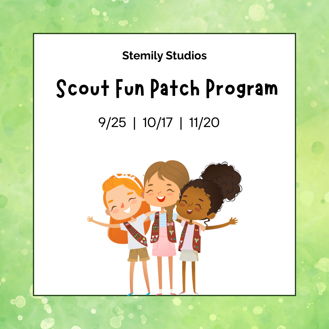 Scout Fun Patch Program