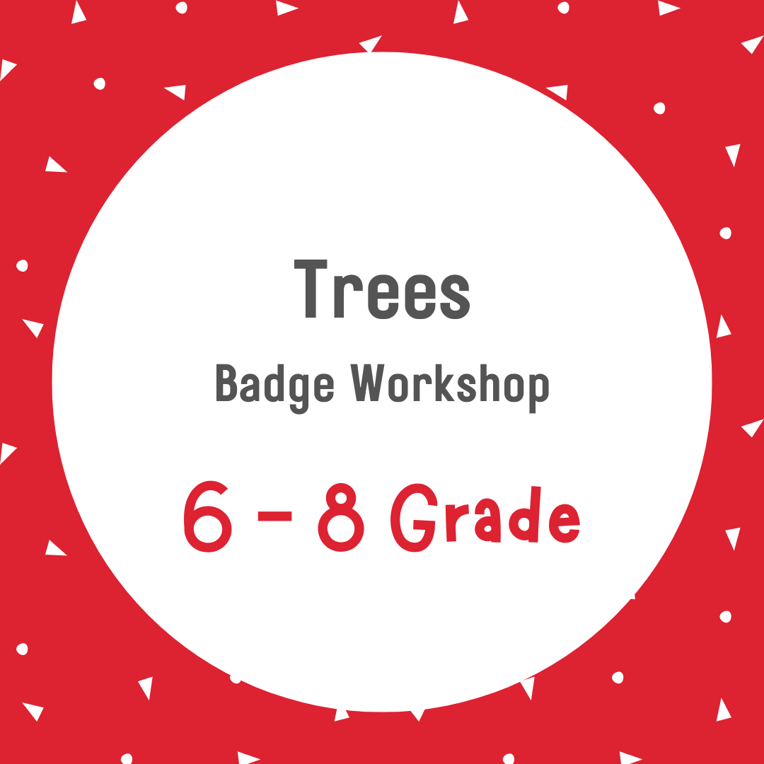 6 - 8 Trees - January