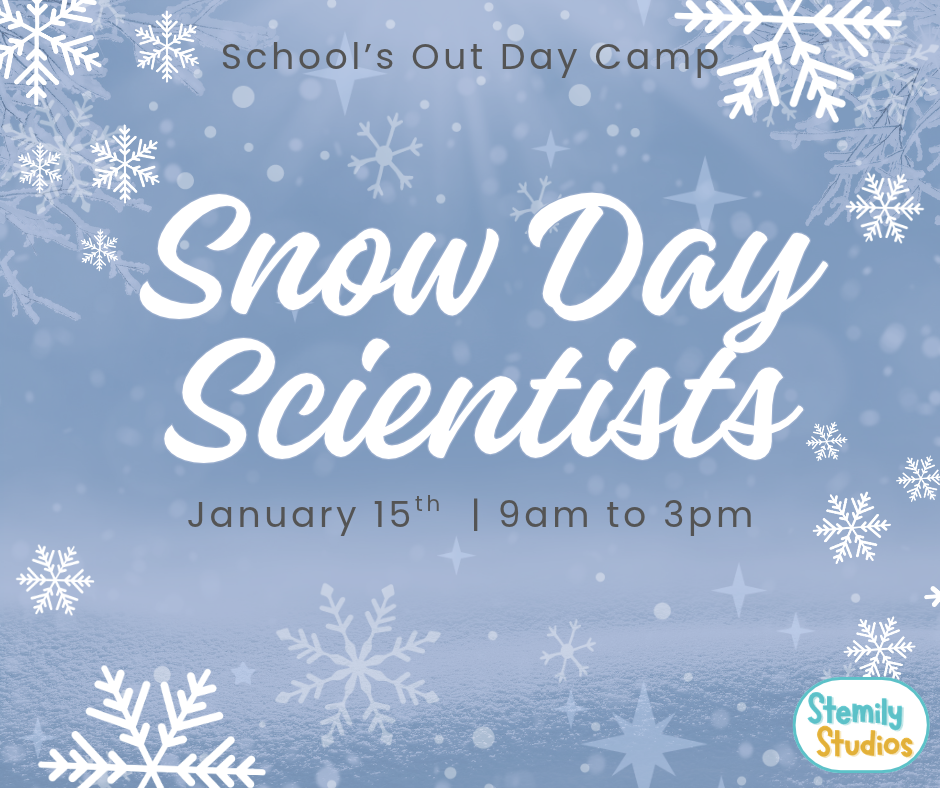 Snow Day Scientists - School's Out Day Camp