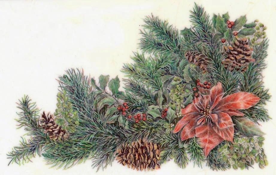colored pencil poinsettia, pine cones and needles and holly holiday vignette