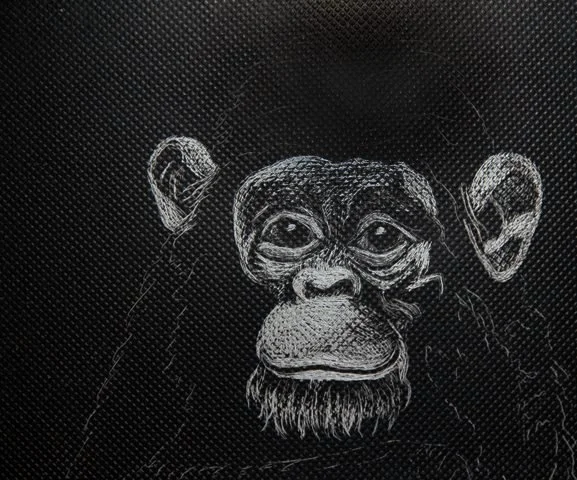 scratchboard chimp