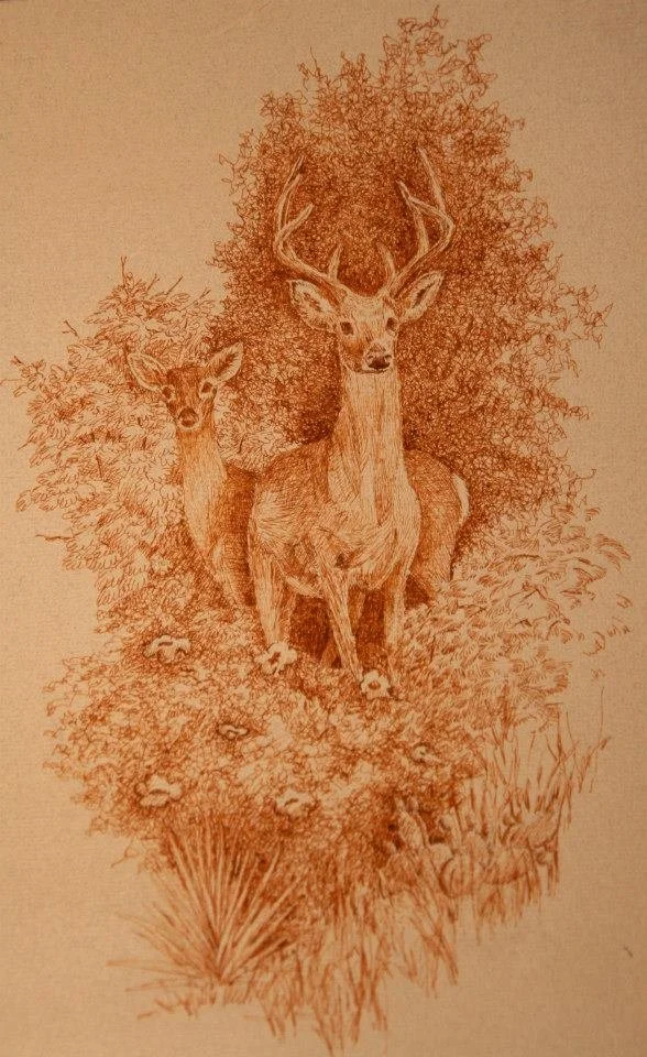sepia pen and ink drawing of deer and bushes