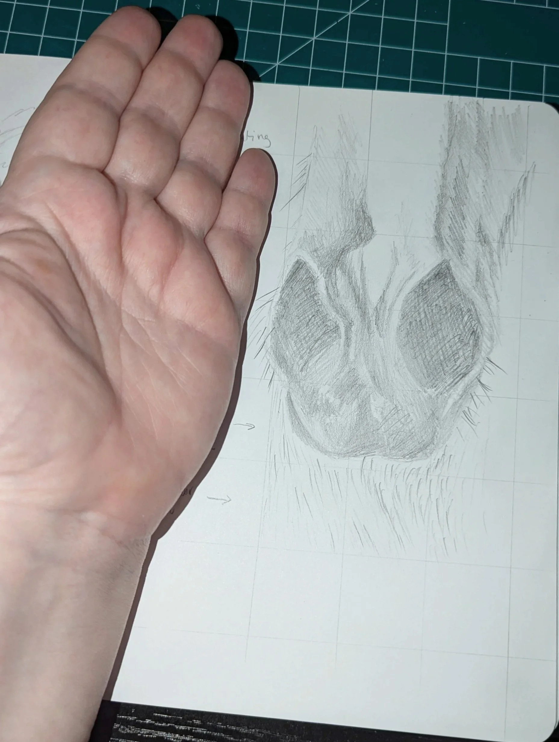 Scale reference of  original graphite horse muzzle sketch for Shadow and Silver by Moore Art by Lucy