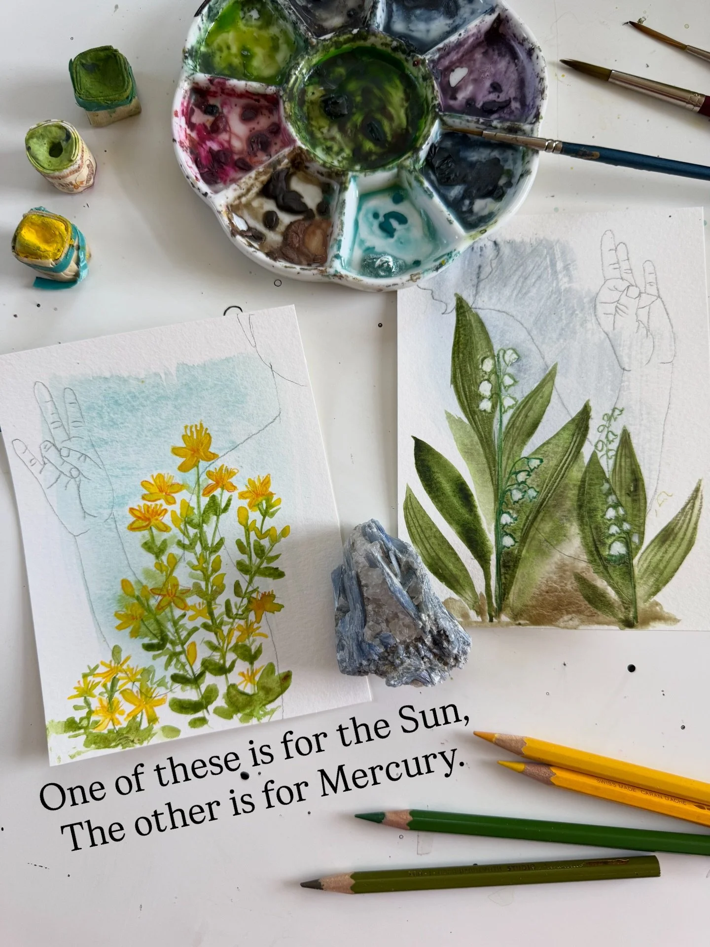 Can you guess which flower is for the planet Mercury: St. John&rsquo;s Wort or Lily of the Valley? 

Today I&rsquo;m working on the first two of my Celestial Patron portraits, and these are studies for the flowers that came in for the Sun and Mercury