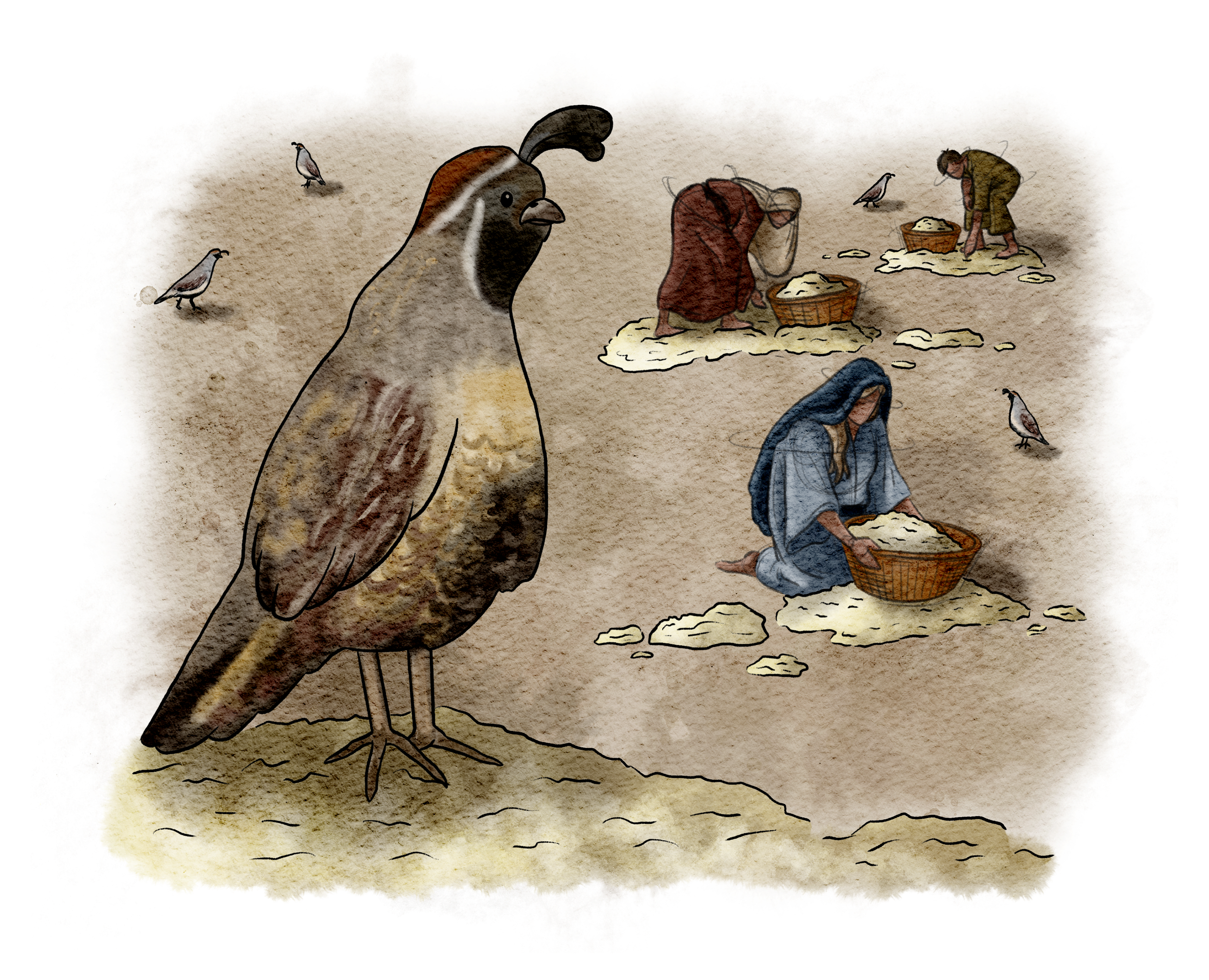 40 Acts Of Scripture, The Burns Creative, 14_TheWilderness.png