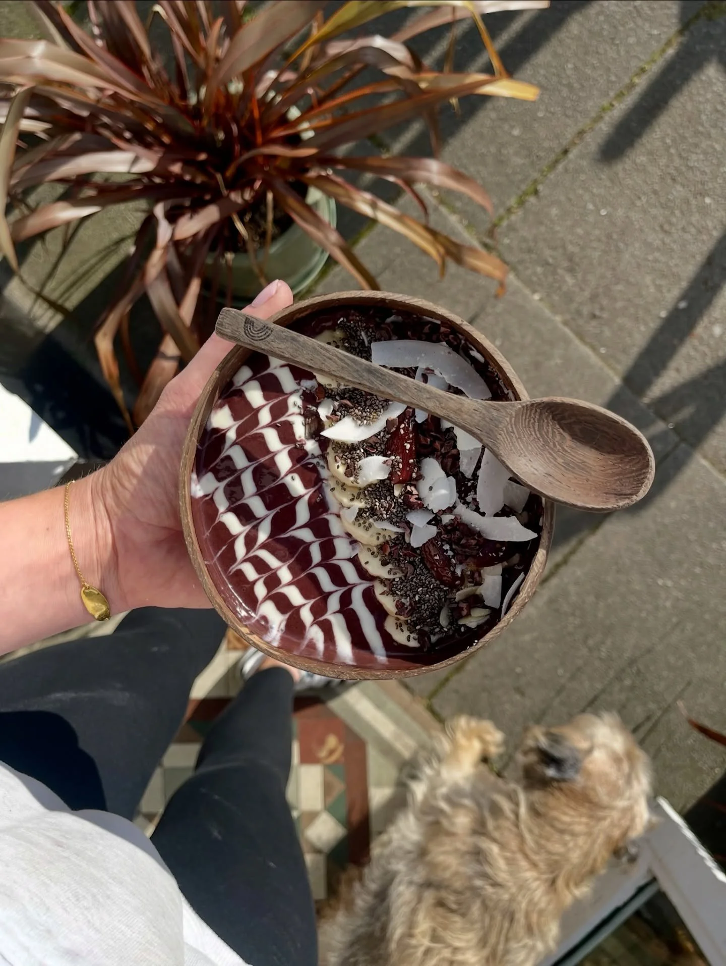 What is with this weather?! 🌧️😫 Throwing it back to one of our beautiful a&ccedil;ai bowls that&rsquo;s set to make a comeback in early spring 🌸🥣😍 We are seriously craving some SUNSHINE! ☀️💛

Open today in Bath &amp; Cheltenham &mdash; see you 