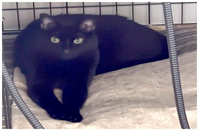 jiji2026_02.jpg