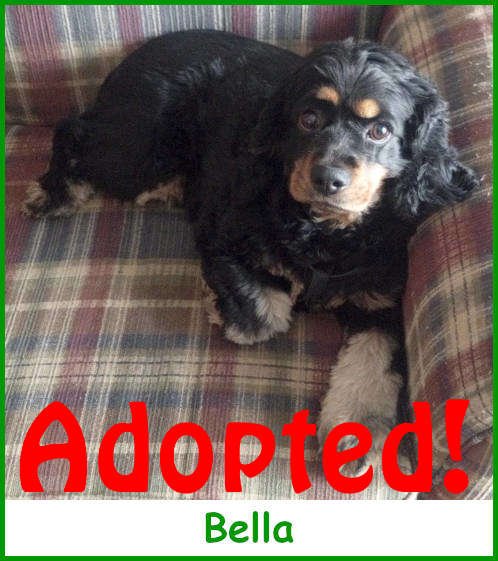 refbella2025_name_adopted.jpg
