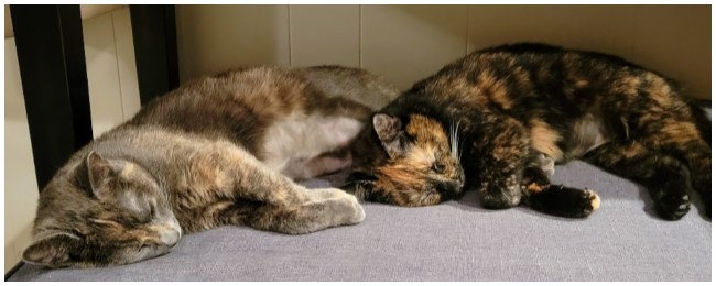 meisha&remi2026_01.jpg