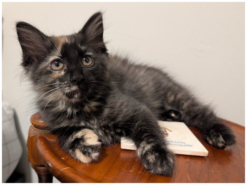 katespayed2026_11.jpg