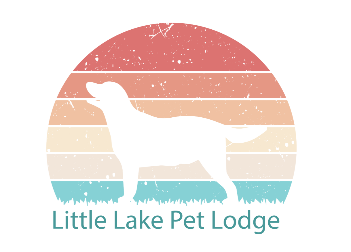 new+2025+Little+Lake+Pet+Lodge.png