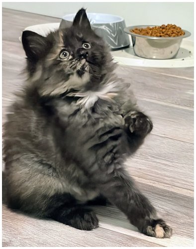 katespayed2026_09.jpg