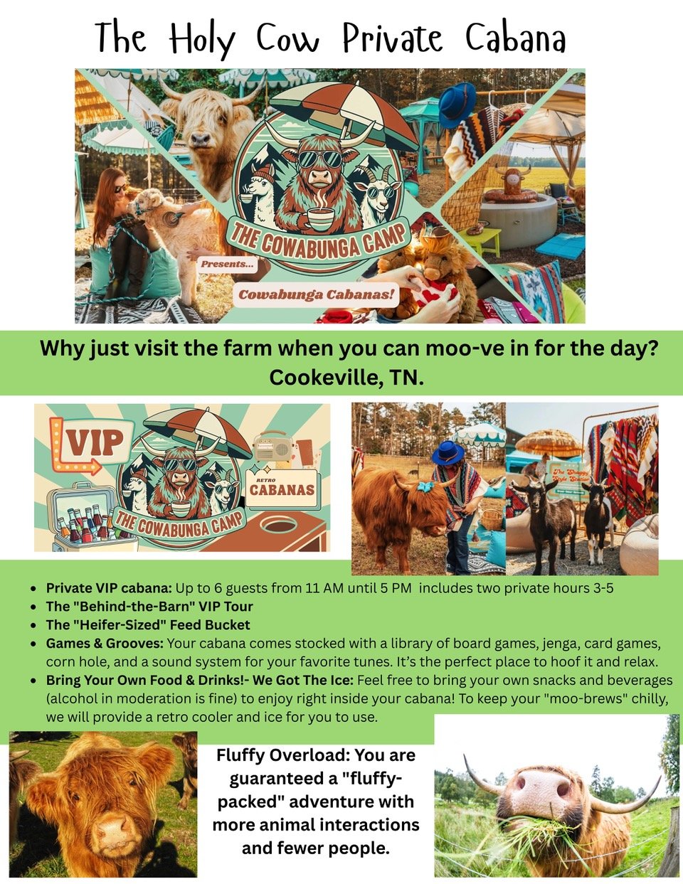 Holy Cow Private Cabana