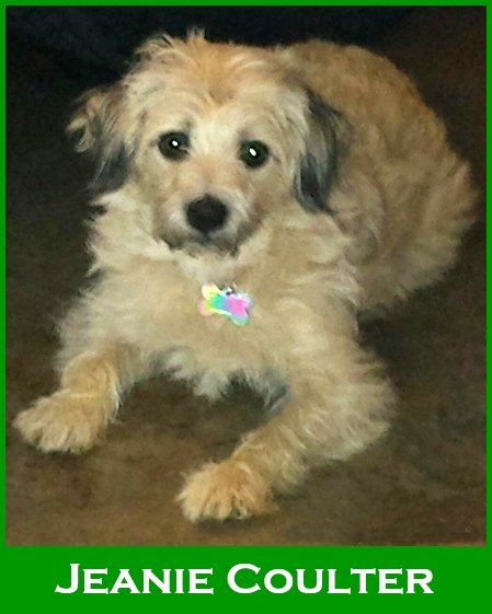 Jeanie Coulter 2.jpg