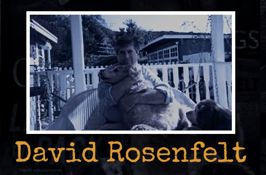 david_rosenfelt logo.PNG