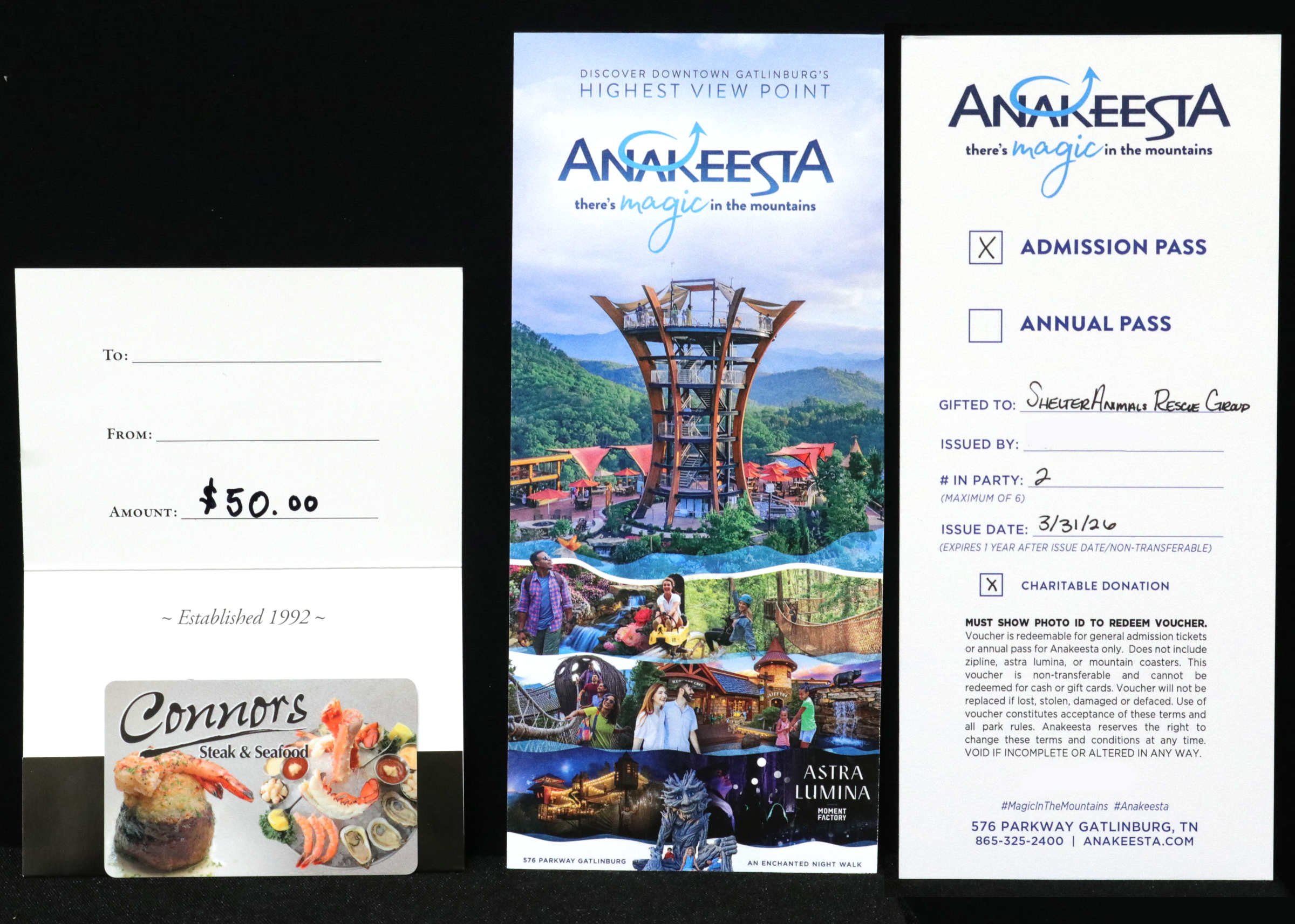 Day Out in Gatlinburg