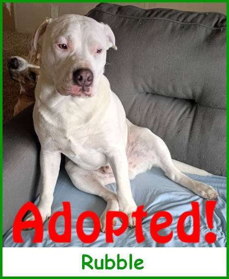 refrubble2026_name_adopted.jpg