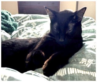 jiji2026_01.jpg