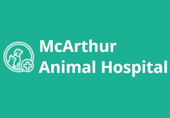 mcaurthor animal hospital edited.PNG