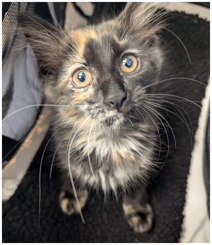 katespayed2026_12.jpg