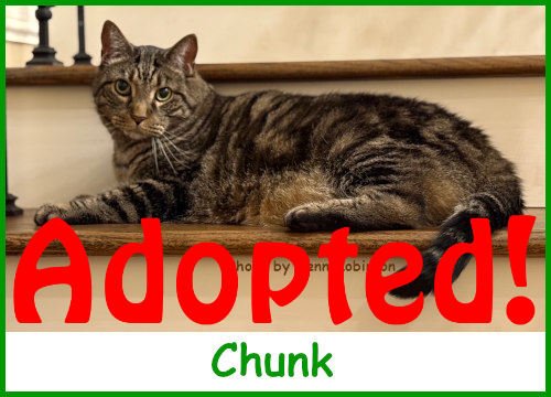 sargchunk2025_name_adopted.jpg