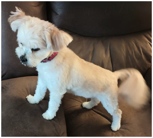 sparky2025_01.jpg