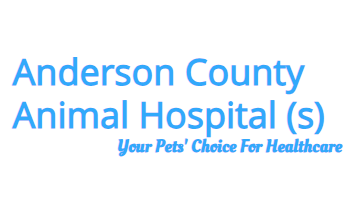 anderson county animal hospital.PNG