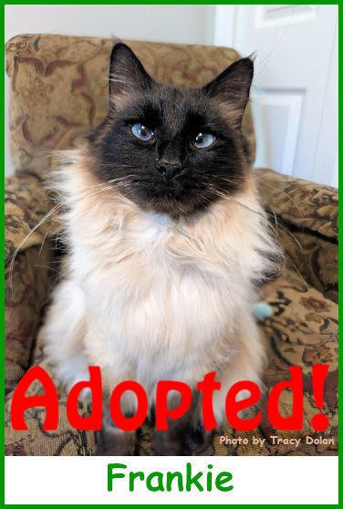 sargfrankie2026_name_adopted.jpg