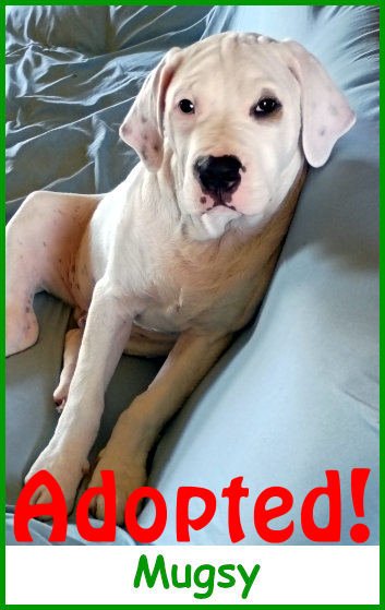 refmugsy2026_name_adopted.jpg