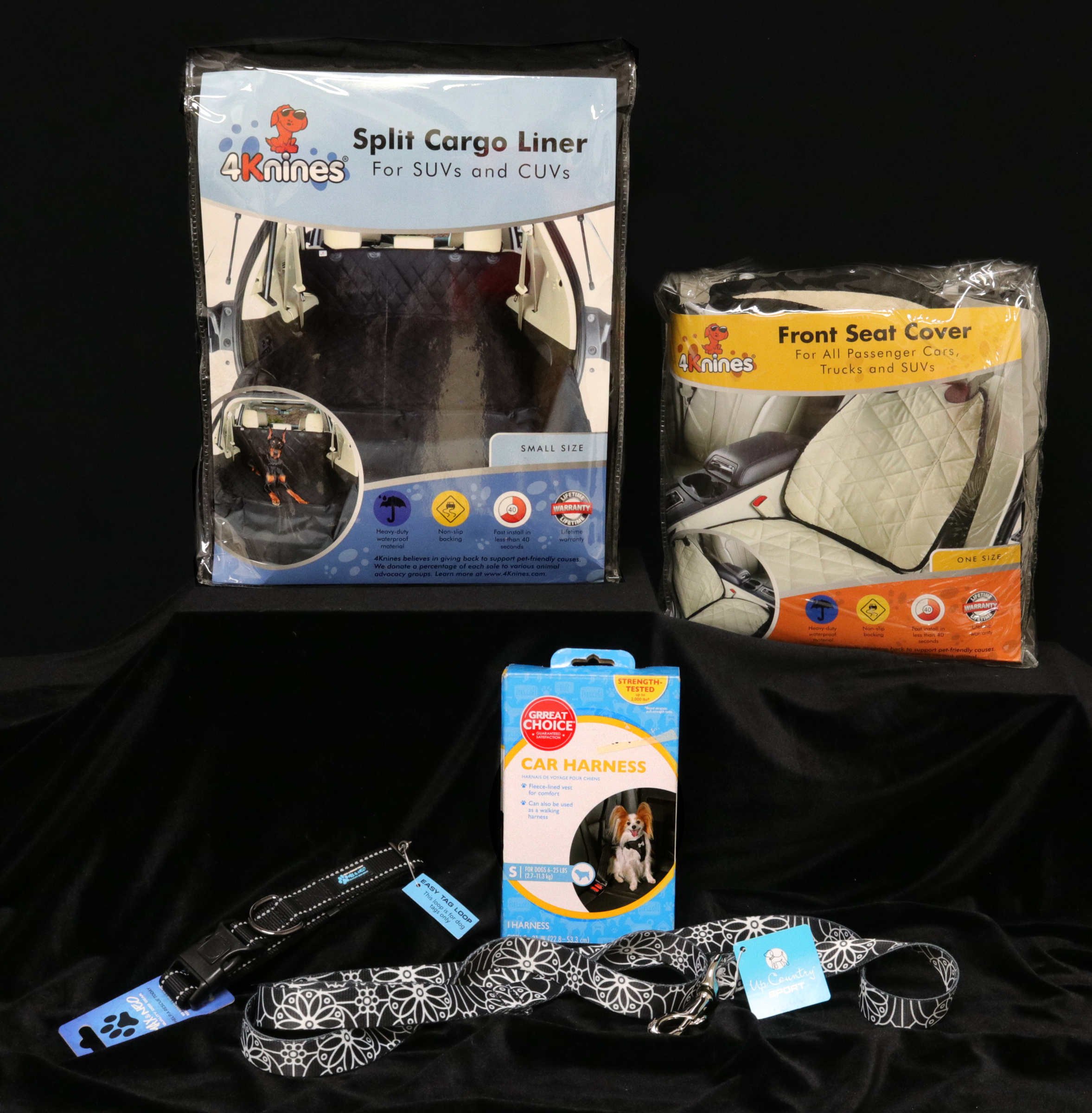 Going for a Car Ride