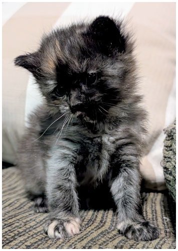 katespayed2026_05.jpg