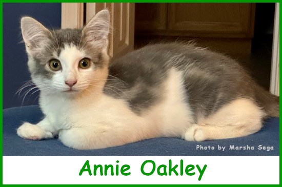 sargannieoakley2026_name.jpg