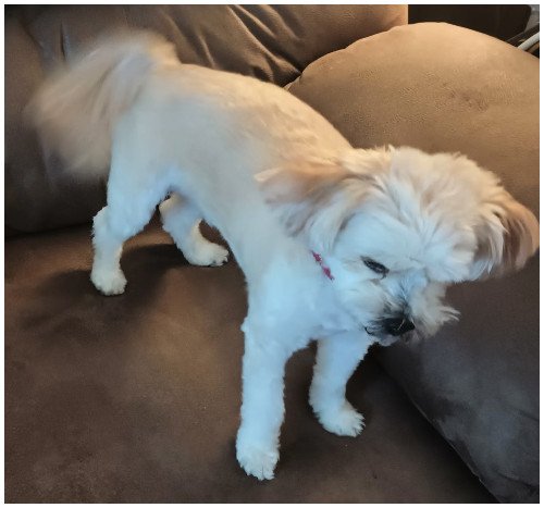 sparky2025_02.jpg