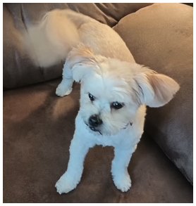 sparky2025_03.jpg