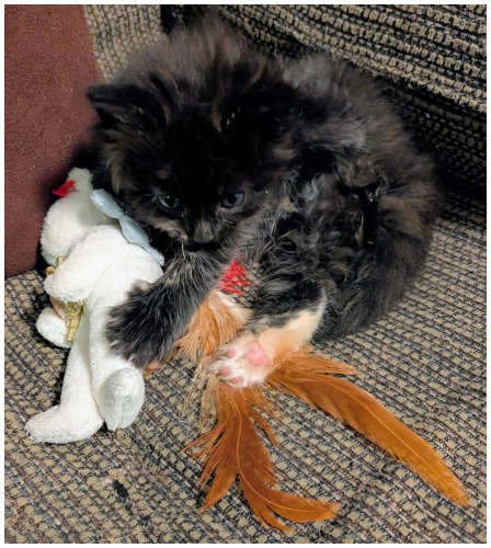 bailey2026_02.jpg