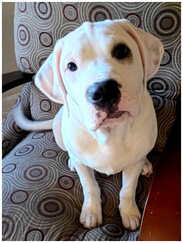 mugsy2026_01.jpg