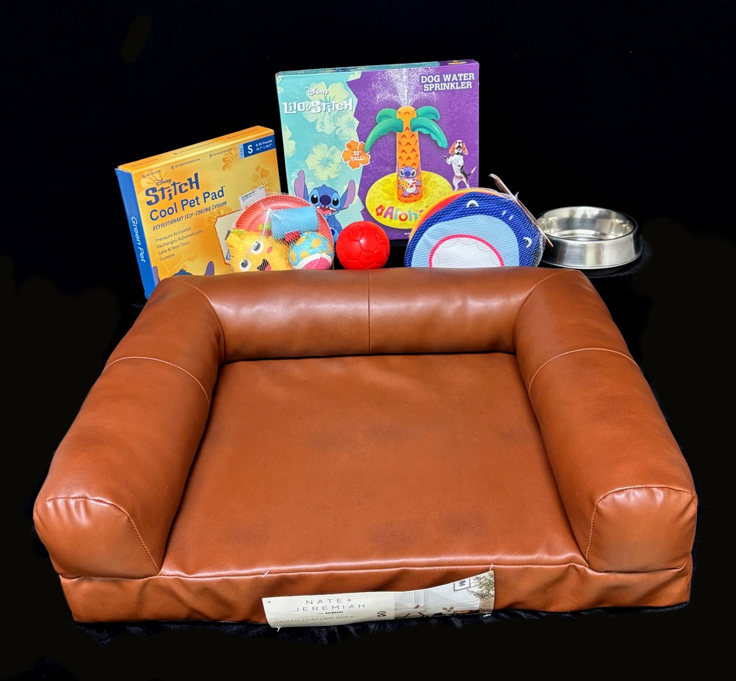 Doggie Fun in the Sun Time